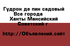 Гудрон де пин садовый - Все города  »    . Ханты-Мансийский,Советский г.